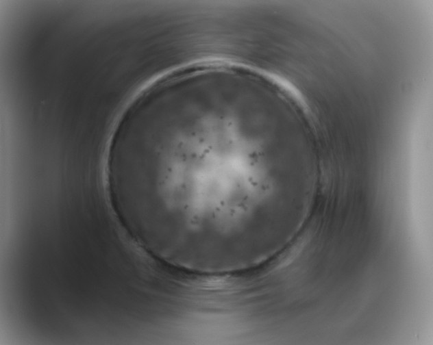 X0000089701279200707051637