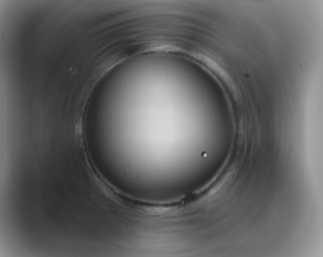 X0000089701281200707051637