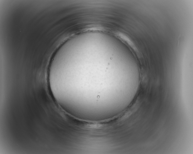 X0000089701282200707051637