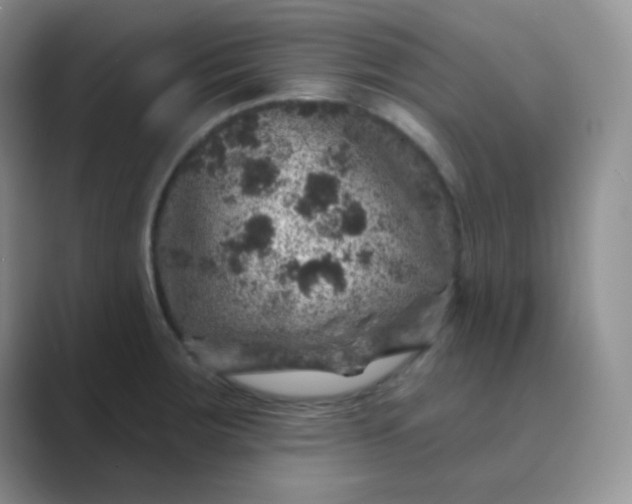 X0000089701283200707051637