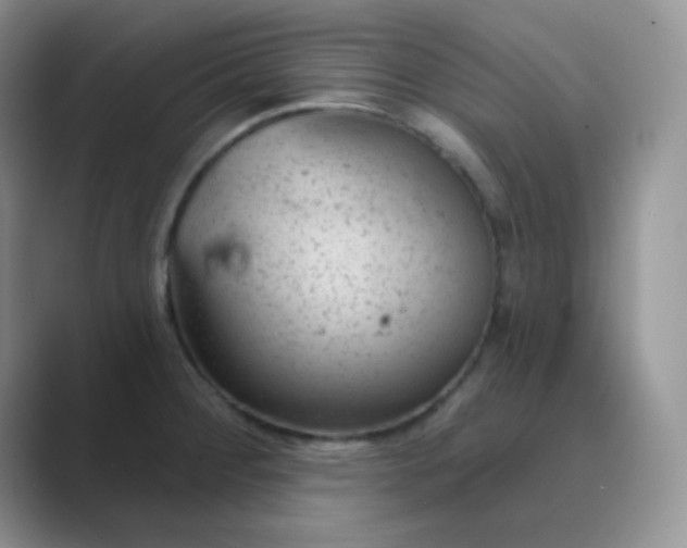 X0000089701284200707051637