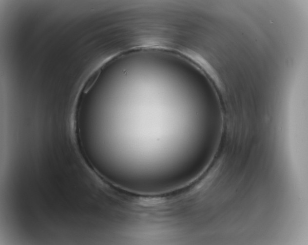 X0000089701285200707051637