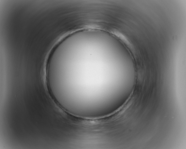 X0000089701286200707051637