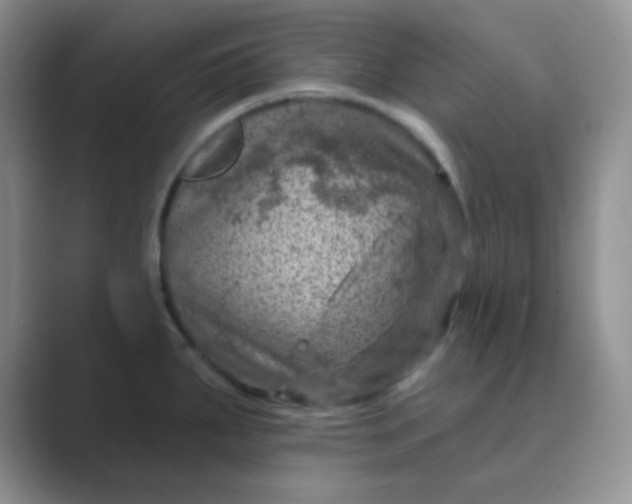 X0000089701287200707051637