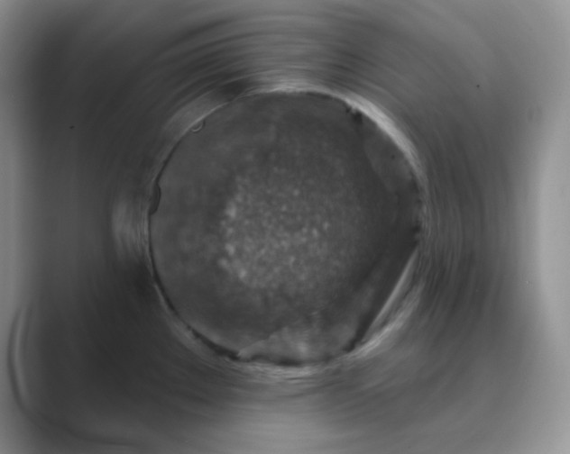 X0000089701289200707051637