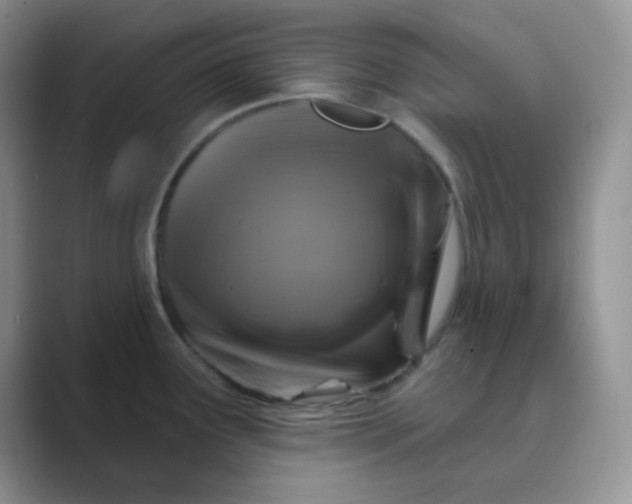 X0000089701291200707051637