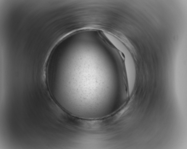 X0000089701292200707051637