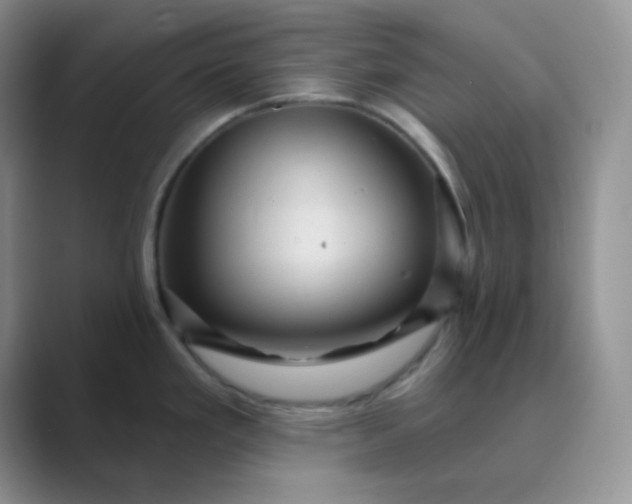 X0000089701293200707051637