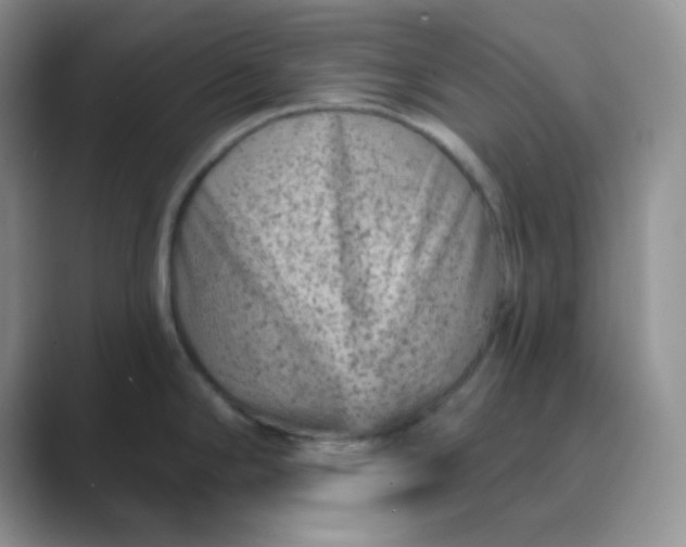 X0000089701294200707051637