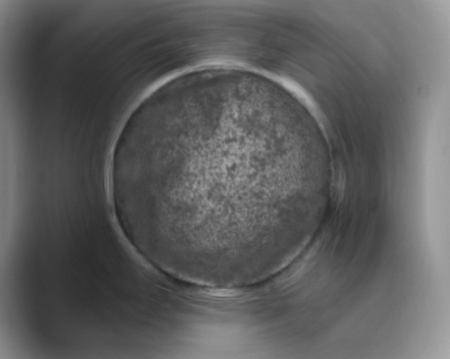 X0000089701295200707051637