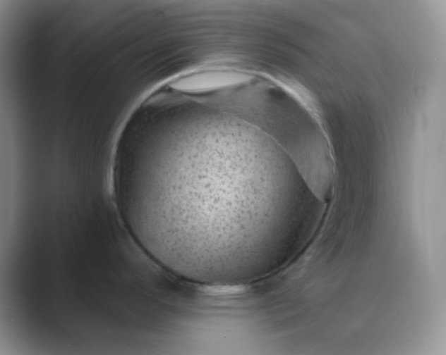 X0000089701296200707051637