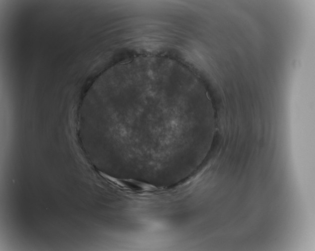 X0000089701297200707051636