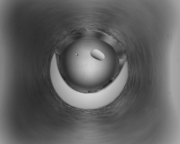 X0000089701298200707051636