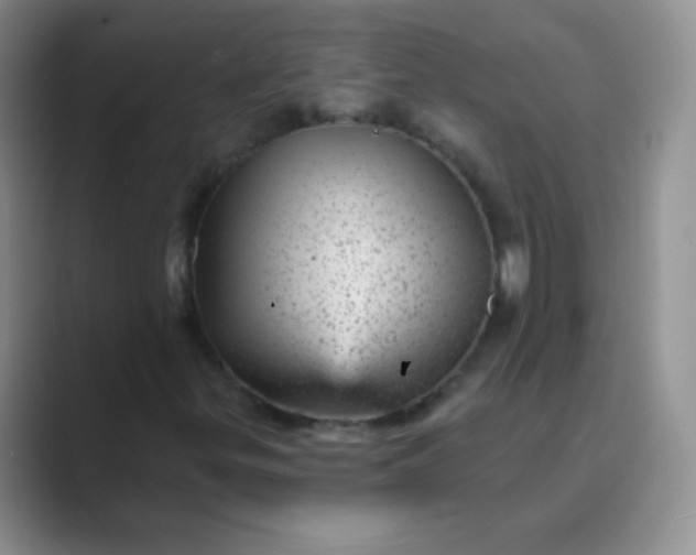 X0000089701299200707051636