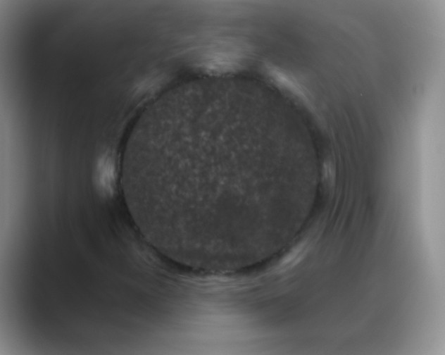 X0000089701300200707051636