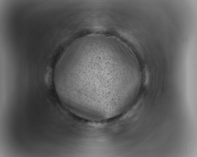 X0000089701301200707051636