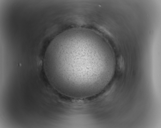 X0000089701302200707051636