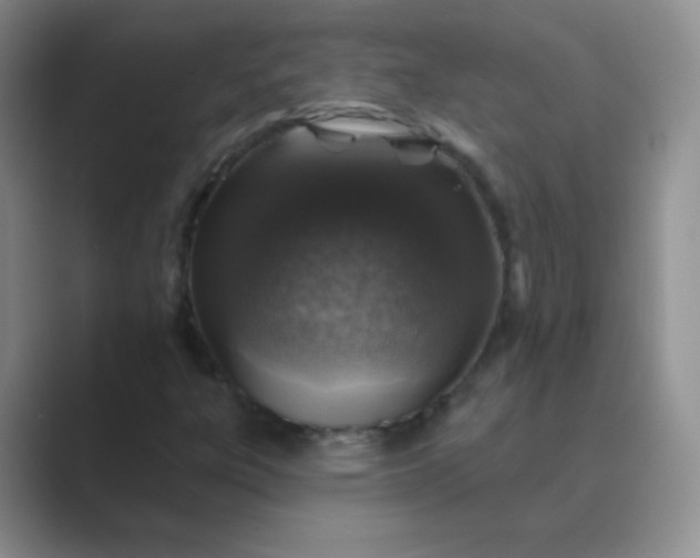 X0000089701303200707051636