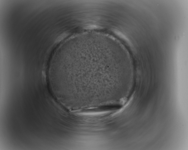 X0000089701305200707051636