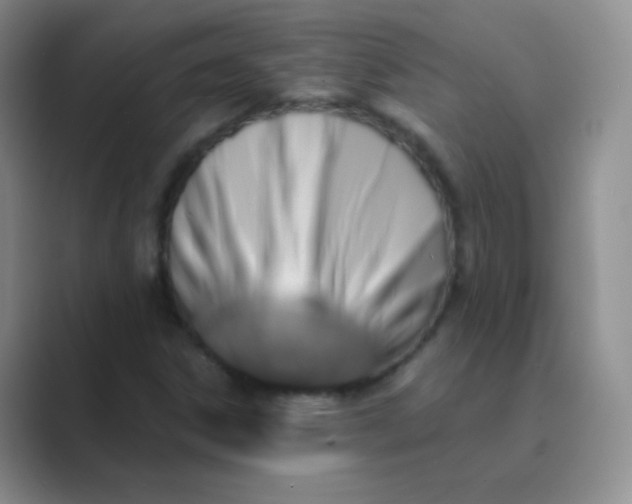 X0000089701306200707051636