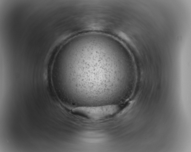 X0000089701307200707051636