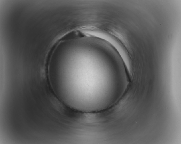 X0000089701308200707051636