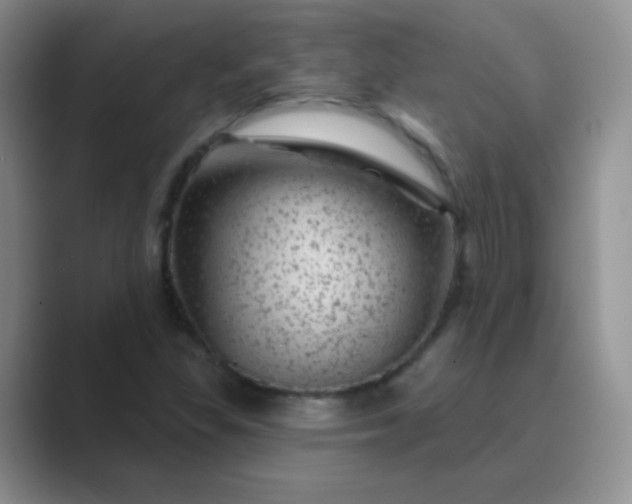 X0000089701309200707051636