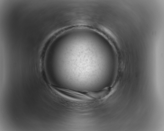 X0000089701310200707051636