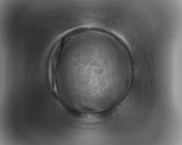 X0000089701311200707051636