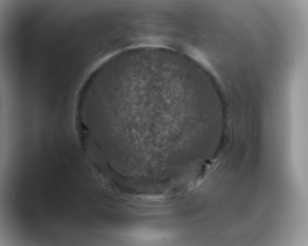 X0000089701312200707051636