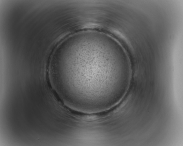 X0000089701313200707051636