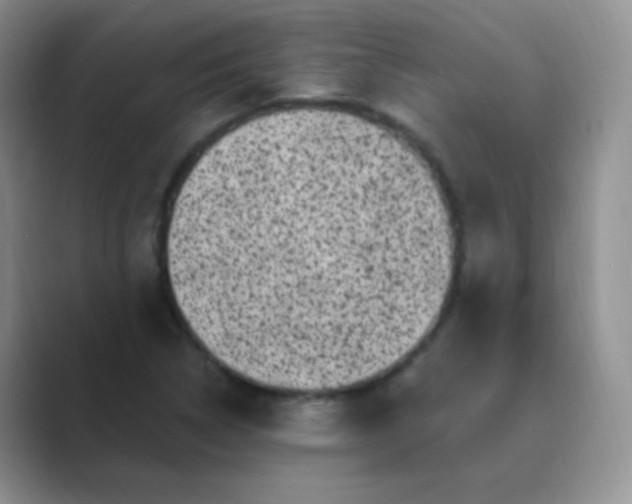 X0000089701314200707051636