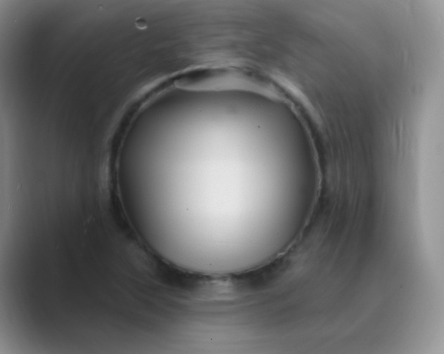 X0000089701315200707051636