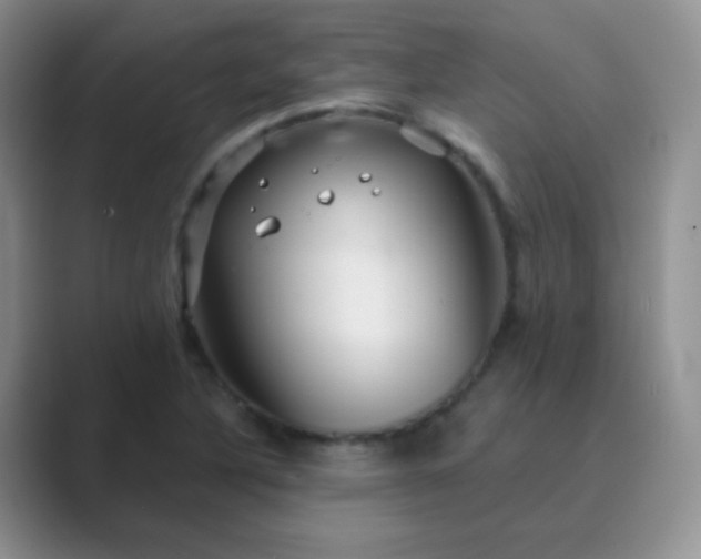 X0000089701316200707051636