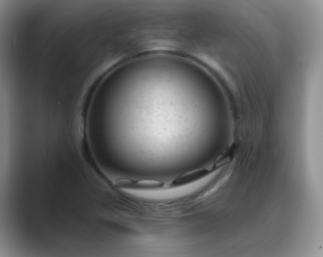 X0000089701317200707051636