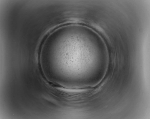 X0000089701318200707051636