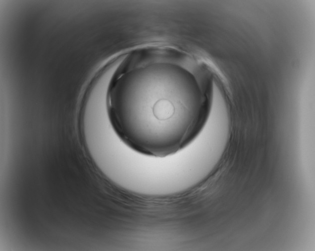 X0000089701320200707051636