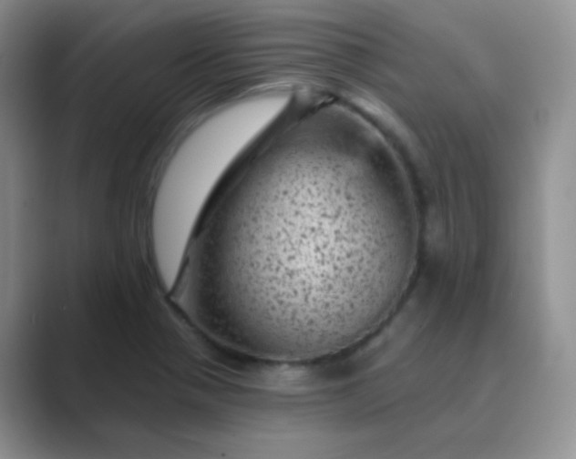 X0000089701321200707051636