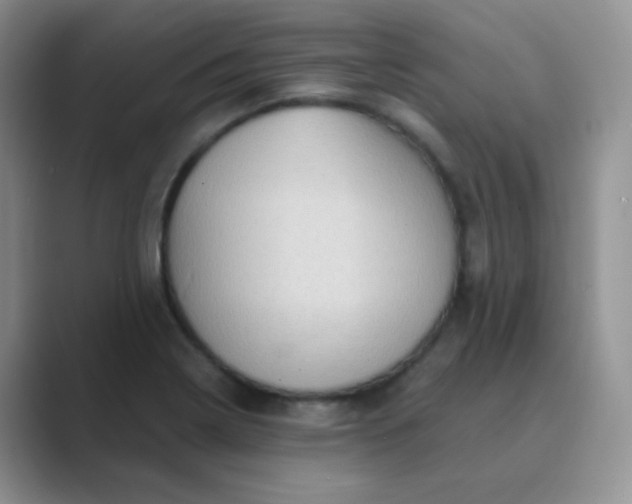 X0000089701322200707051636