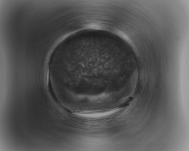 X0000089701323200707051636