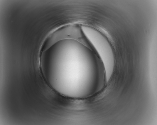 X0000089701324200707051636