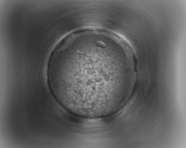 X0000089701325200707051636