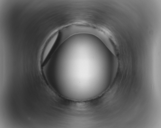 X0000089701326200707051636