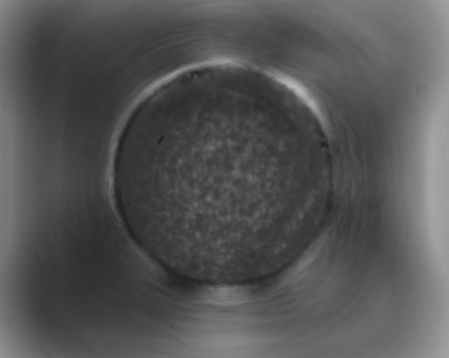 X0000089701327200707051636