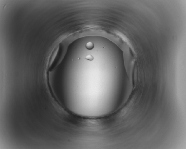 X0000089701330200707051636