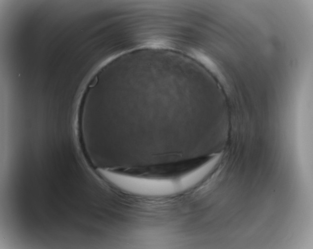 X0000089701331200707051636