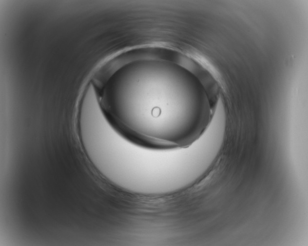 X0000089701332200707051636