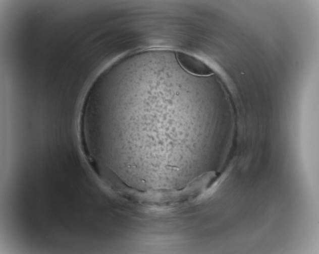 X0000089701333200707051636