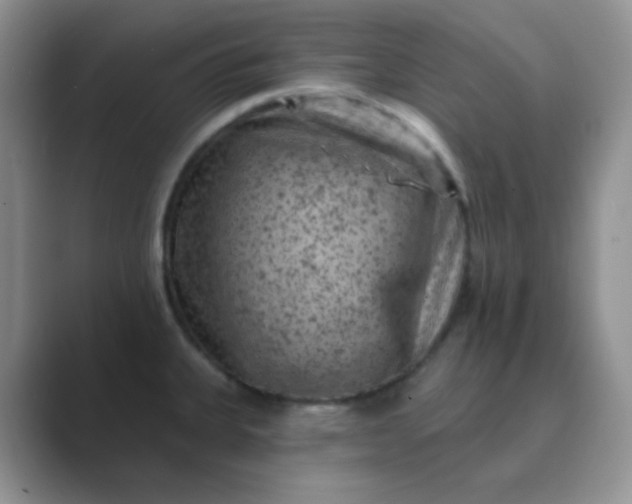 X0000089701335200707051636