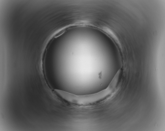 X0000089701336200707051636